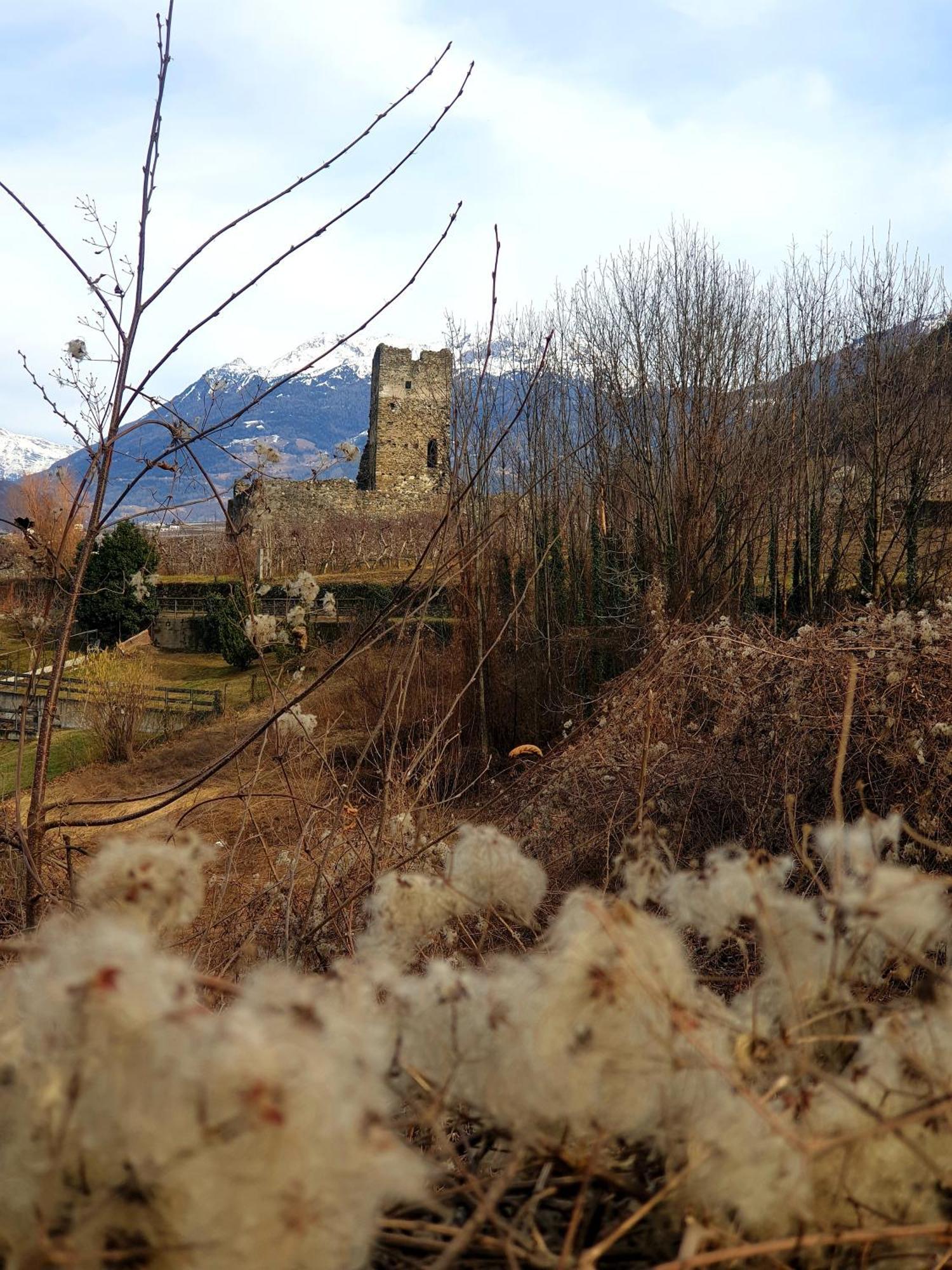 Il Rosone Apartamento Tirano Exterior foto